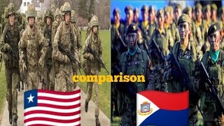 Philippine vs USA Military  Which Army Reigns Supreme 2024 [upl. by Haran566]