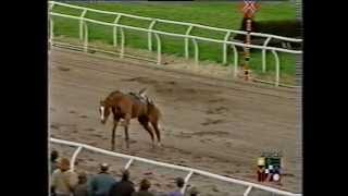 Scary Incident at Southwell Racecourse [upl. by Brosine]