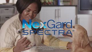 NexGard Spectra – 3in1 Protection [upl. by Euqinomahs]