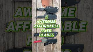 5 Awesome Affordable EDC Fixed Blades edc knife blade edcknife [upl. by Murrah658]