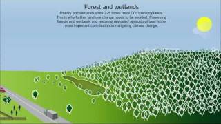 Life Cycle Carbon Footprint of Nitrogen Fertilizers [upl. by Hake]