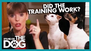 Victorias Dog Training Tips Put Into Practice  Its Me or The Dog [upl. by Celio]