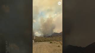 Watch Flames line roadside as large wildfire burns in Mojave Desert Shorts [upl. by Muiram]