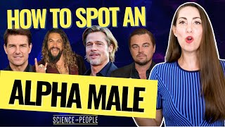 What is an Alpha Male 8 Alpha Cues from Jason Momoa TonyRobbinsLive Brad Pitt and more [upl. by Gennaro]