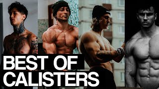 BEST OF CALISTERS  APRIL 2020  Ultimate Calisthenics Motivation [upl. by Ntisuj748]