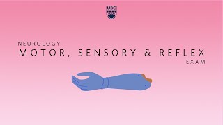 Neurology Clinical Skills  Motor Sensory amp Reflex Neurological Exam neurology ubcmedicine [upl. by Ver216]