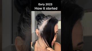 Black to Gray Hair Transition 🖤🩶 hairtransformation [upl. by Dleifyar]