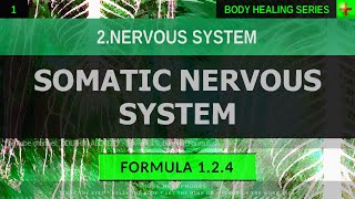 124 🎧 Healthy Nerves Somatic Nervous System EXTREMELY DEEP HEALING Resonant Subliminal [upl. by Walden]