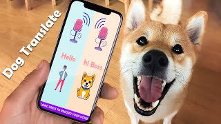 Dog Translator App  Cat Translator App [upl. by Vowel]