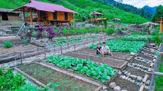 LIVING Sustainably OFF The Grid Growing Clean Vegetable Farms Aquaculture Harvesting Cooking [upl. by Hamner]