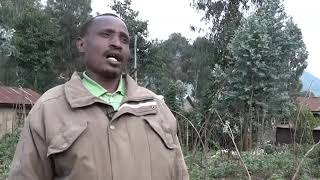 Rwanda Genocide Survivor Innocent Kabirizi Narrates Ordeal in 1994 [upl. by Veedis]