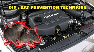 DIY  How to Rat Proof your Car [upl. by Hpesojnhoj620]