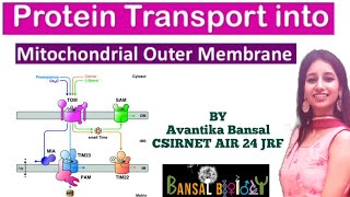 Protein Transport into Mitochondrial Outer MembraneProtein TargetingSortingPost Translational [upl. by Dian892]