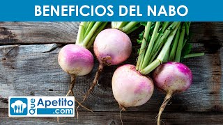 8 Propiedades y Beneficios del NABO ✅  QueApetito [upl. by Eimaral]