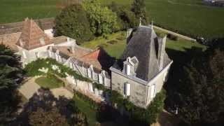 Vendanges 2015 au VIEUX CHATEAU CERTAN [upl. by Llereg]