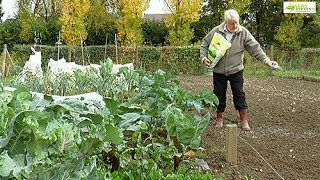 POURQUOI APPORTER DE LA CHAUX DANS LE POTAGER [upl. by Eussoj]