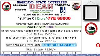 Lottery Sambad Live Dear Nagaland State Lottery Live draw result 020924Lottery live sambad [upl. by Teerpnam518]