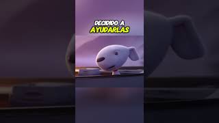 quot¡El Perrito Heroico 🐶 Ayuda a una Garza y Sus Críasquot youtubeshorts [upl. by Akinuahs]