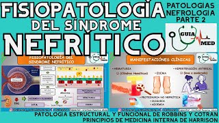 SÍNDROME NEFRÍTICO FISIOPATOLOGÍA  GuiaMed [upl. by Atarman986]