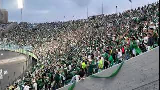 O apito final Reação da torcida do Palmeiras no fim da partida contra o Flamengo na Libertadores [upl. by Einiffit604]