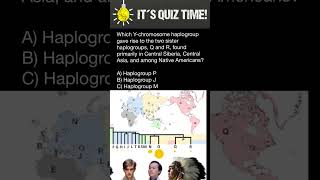 Y chromosome Haplogroups Phylogenetic Tree [upl. by Ayrb]