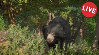 Checking out the Planet Zoo Eurasia Animal Pack [upl. by Tlevesor626]