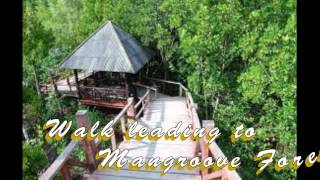 Cagayan de Oros Lambago Ecoland Tourist Destination [upl. by Hairabez]