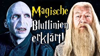 Magische Blutlinien in Harry Potter erklärt  Harry Potter Wissen [upl. by Waligore124]