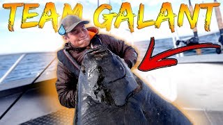 CATCHING GIANT HALIBUT  One Week in Norway  Team Galant [upl. by Novart]