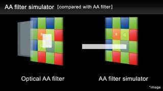 PENTAX K3 II quotAA filter simulatorquot [upl. by Coffin325]