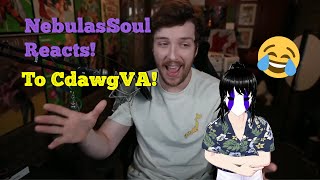 Masked vtuber Reacts to cdawgva [upl. by Yanal]