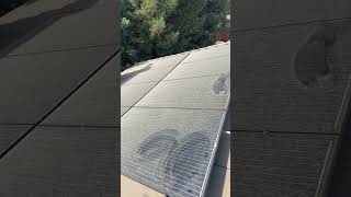 Solar Panel Cleaning November 1 2024 [upl. by Barnes]