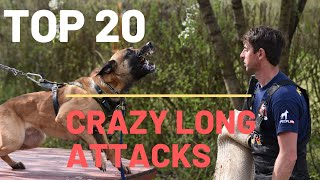 Malinois and german shepherd TOP 20 long attacks [upl. by Parrnell]