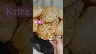 kathal kaise khate hain aap music bollywood song lovesong food kathal [upl. by Narret]