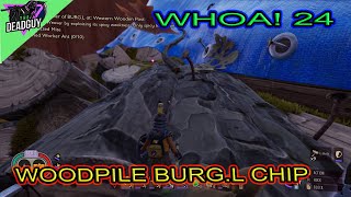 GROUNDED WHOA MODE WOODPILE BURGL CHIP [upl. by Larue579]