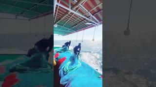 Bay of Bangal sea fishing dangerous fishing trading shorts foryou [upl. by Cyrilla408]