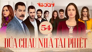 ĐỨA CHÁU NHÀ TÀI PHIỆT  TẬP 54  Drama Gia Đình Kịch Tính Bà Thím Thâm Độc Hại Đứa Cháu Tật Nguyền [upl. by Veronika]