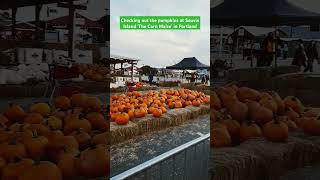 The pumpkin patch at sauvie island [upl. by Ahselak]