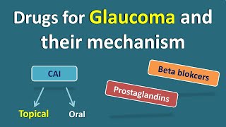 Drugs for Glaucoma and their mechanism of action  Drugs for topical and oral use [upl. by Haiasi]