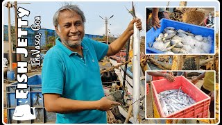 Goa Fish Jetty  South Goa  Vasco Da Gama  Fishery  Local Fish Market  Fishermen life [upl. by Eico]