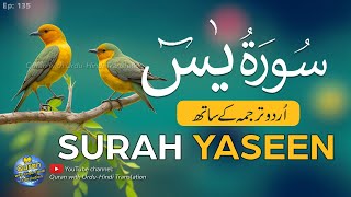 Surah Yaseen  Yasin Tarjuma ke sath  Tilawat  Episode 135  Quran with Urdu Translation [upl. by Okihcim665]