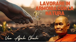 Lavorare in armonia con la natura discorso del venerabile Ajah Chah [upl. by Mcquillin519]