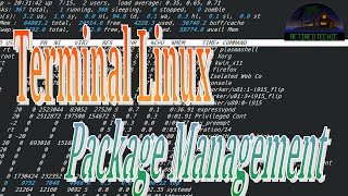 Terminal Linux Software Package Managment [upl. by Blanca]