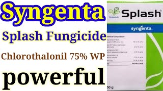 Syngenta Splash Fungicide  Chlorothalonil 75 WP rajeshsaini [upl. by Othe]