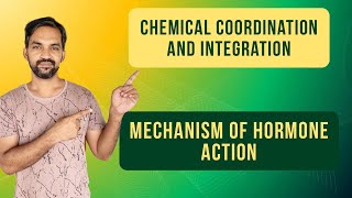 Chemical coordination and integration  Mechanism of Hormone Action [upl. by Ades]