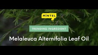 Mintel Trending Ingredient Melaleuca Alternifolia Leaf Oil EN [upl. by Dor]