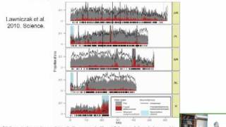 The Genomic Architecture of Speciation [upl. by Oman165]