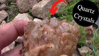 Digging Quartz Crystals  We Found The Source [upl. by Halivah]