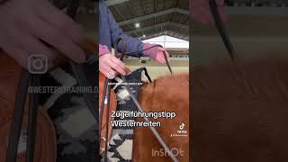 equestrian westernreiter pferde quarterhorse reiten westernreiten horse pferdetraining [upl. by Meyers594]