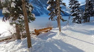 Winter Hike in Lake Louise Banff National Park 4K [upl. by Acireit]